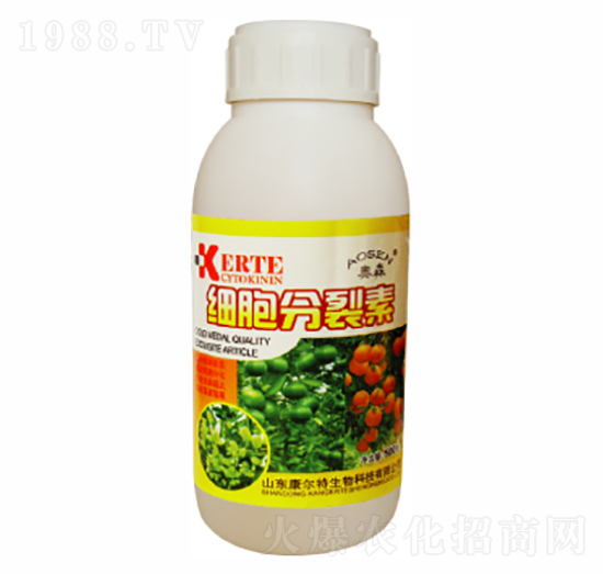 500g��(x��)��������-������