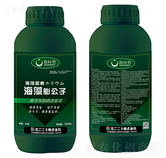 ��������-������