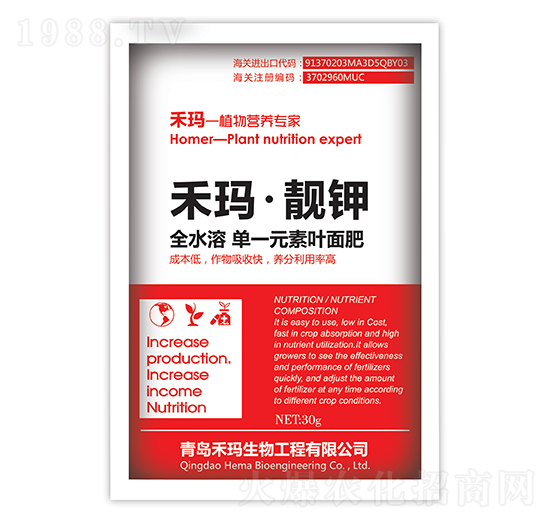 �̬����n�-�̬�����