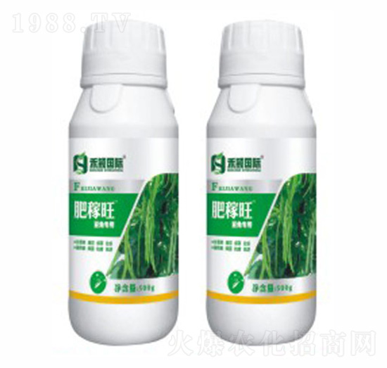 �������L�����~���-�ʼ���-�̷f����