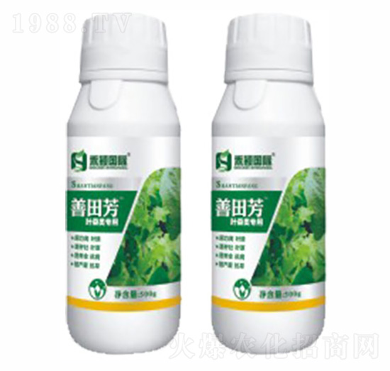 �~������~���-���﷼-�̷f����