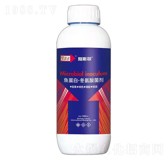 �~���ס����������-��˹��