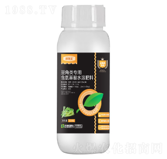 500g����������-�����-�̷f����