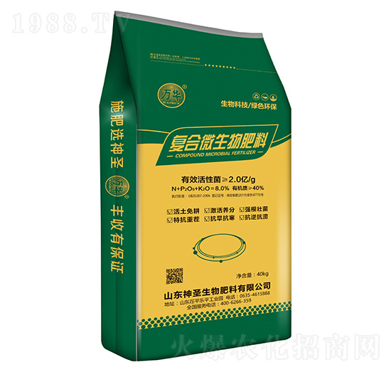 ������ͺϾ���-�������S-��ʥ����