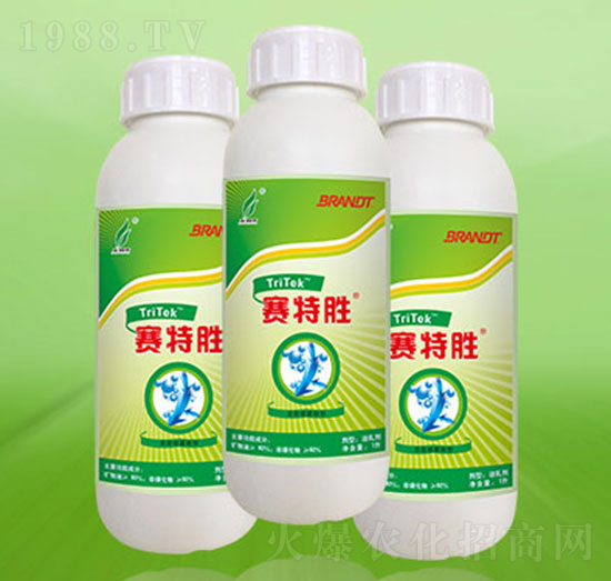 �r(n��ng)�Ç��F����-ِ�؄�-�º��S