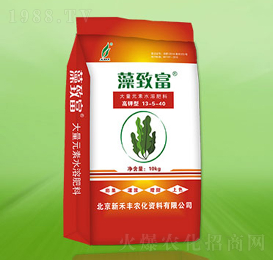 ���¸�-�º��S