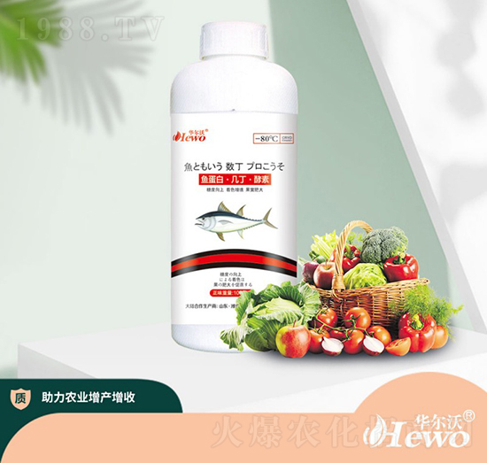 �~(y��)���ס��׶�������-�A����