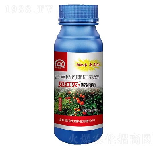 Ҋ�t�硤���ܾ���500ml��-���r����