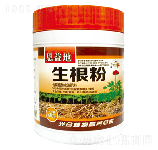 ������-�����-�r������