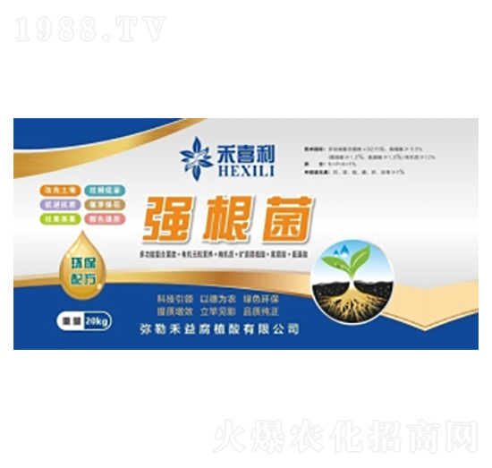 ������-��ϲ��-���港ֲ��