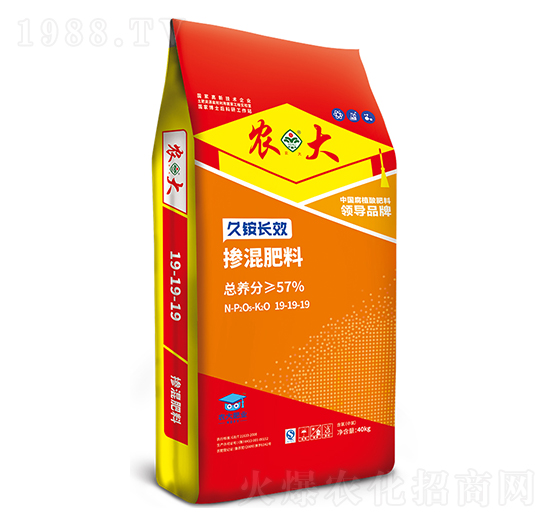 ���@�LЧ��(w��n)���͏ͺϷ���19-19-19-�r�����B(t��i)