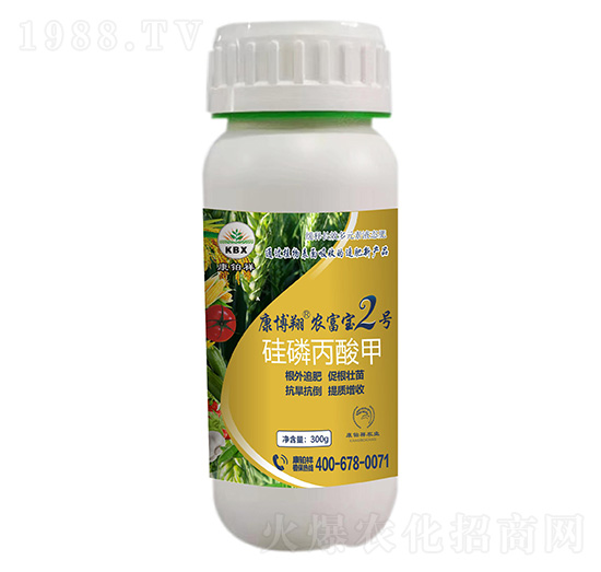 ��һԪ��-�r(n��ng)����2̖(h��o)-���K��