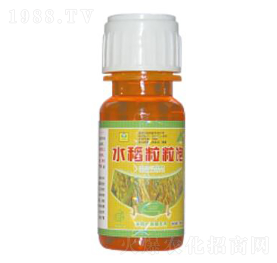 ˮ�������-��������