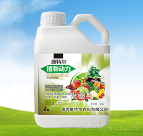 ֲ���(d��ng)��-���ؠ��r(n��ng)��