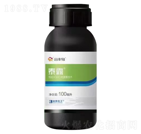 ̩¶�澳����-���S�B(ni��o)-��̩����