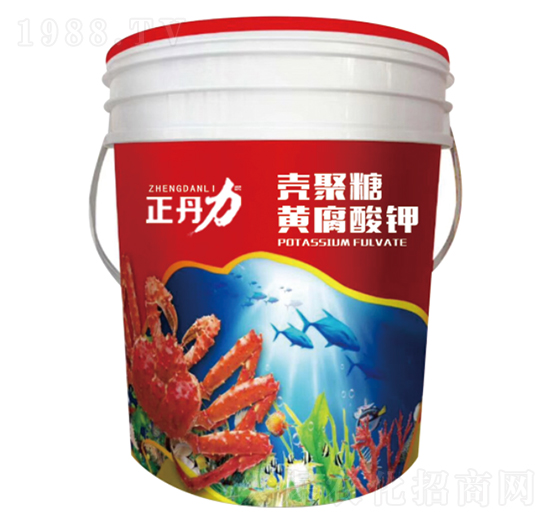 �������S�����-������-���P�