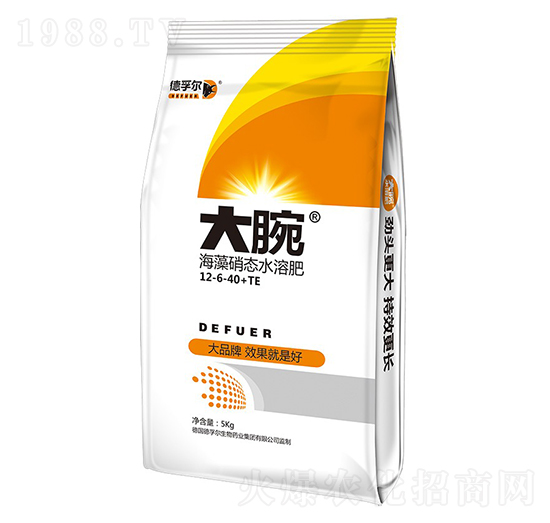 �������B(t��i)ˮ�ܷ�12-6-40+TE-����-���ڠ�