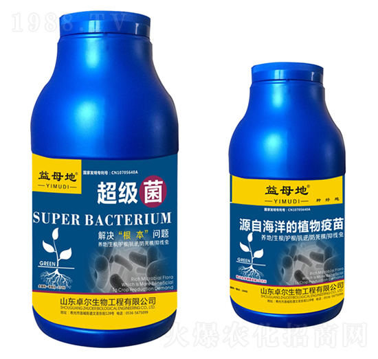 ������-��ĸ��-׿������