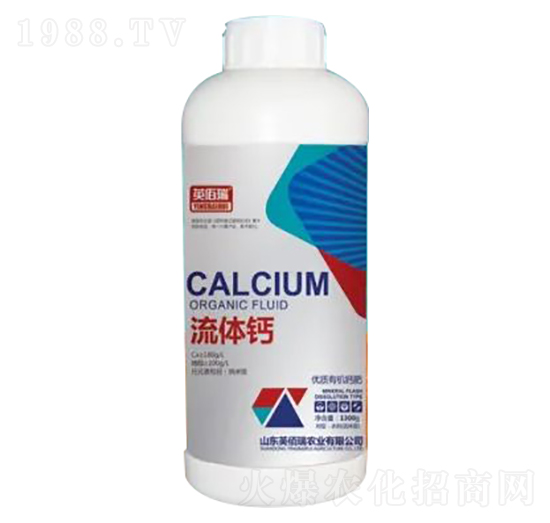 1300g��(y��u)�|(zh��)�ЙC(j��)�}��-���w�}-Ӣ����-�sҫ�r(n��ng)�I(y��)