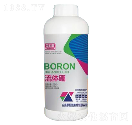 1300g��(y��u)�|(zh��)�ЙC���-���w��-Ӣ����-�sҫ�r(n��ng)�I(y��)