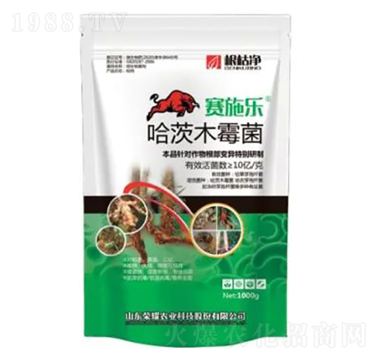 ����ľù��-���݃�-�sҫ�r�I(y��)