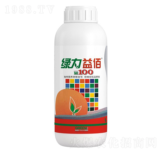 �G�����-��ţ�r�I(y��)