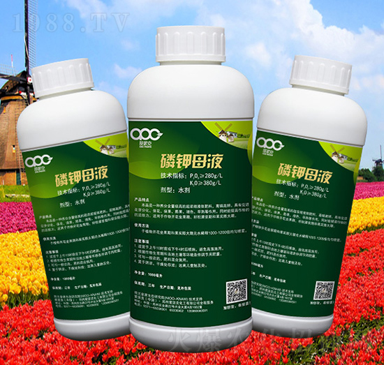 ���ĸҺ-���ɿ�