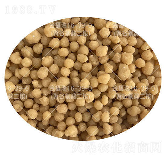 ���Ȱ�������@���w����16-39-0-����-���컯