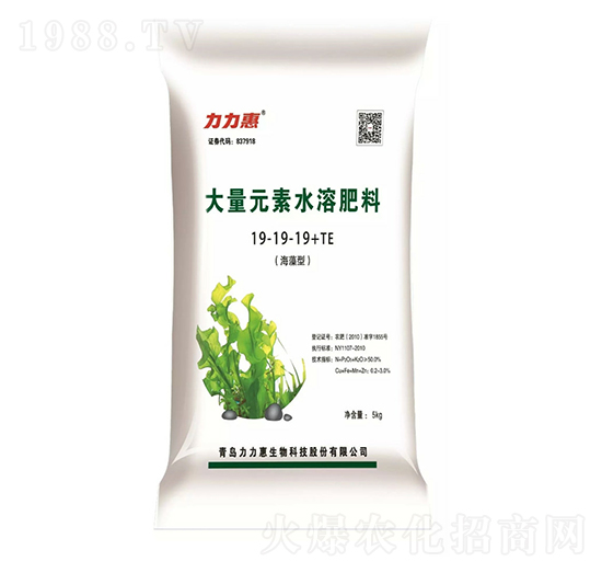 �����ʹ���Ԫ��ˮ�ܷ���19-19-19+TE-����������