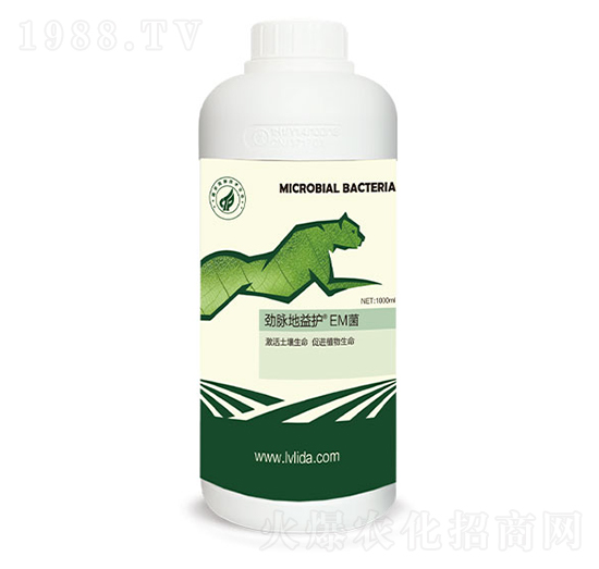 EM��-���}�����o-�G���_