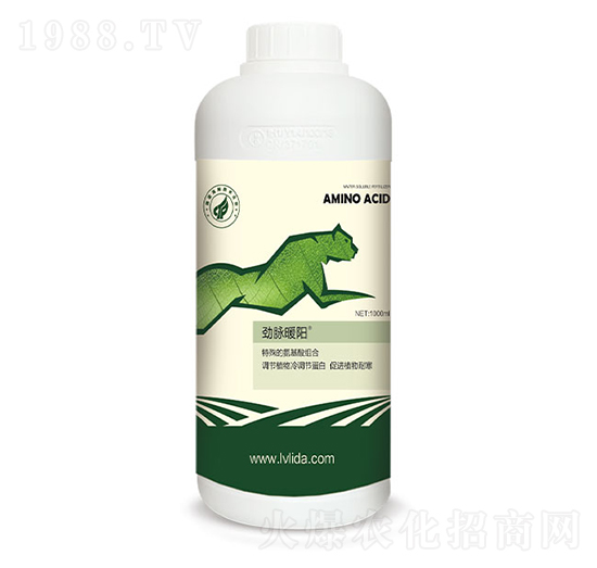 ���{��(ji��)���״��M��-���}ů�-�G���_