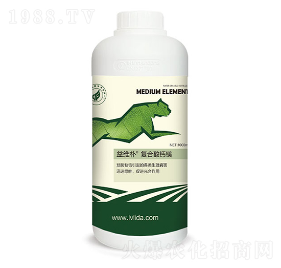 �ͺ����}�V-���}��S��-�G���_