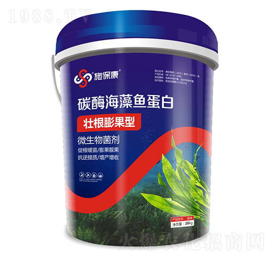 �Ѹ������̼ø�����~����-ʩ����