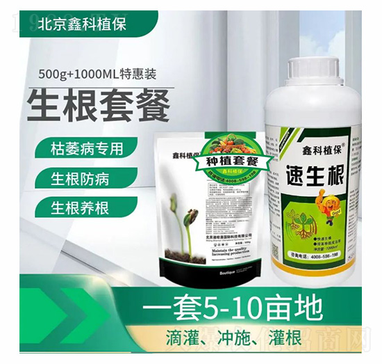 �������ײ�-�ο�ֲ��