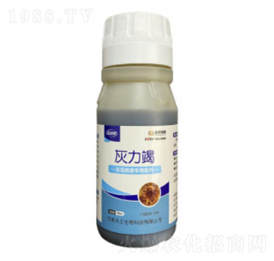 ��ù����������-������-��������