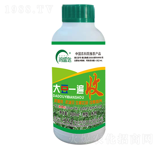 ��һ����-��ʢ�_(d��)