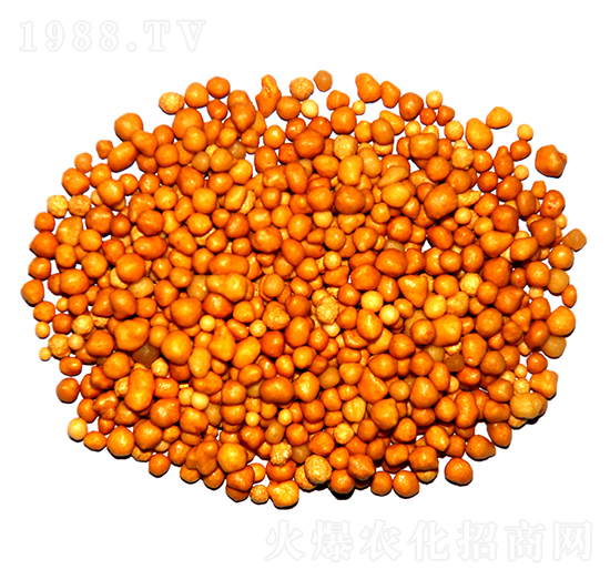 ����n�w����ጷ�15-7-13-ïʩ����