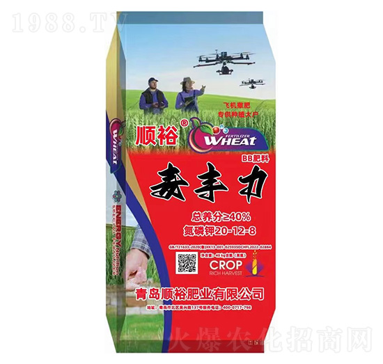 ���S��BB����20-12-8-�ԣ-���r