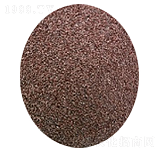 �o(h��)�X������������-��(chu��ng)֮�G���B(t��i)