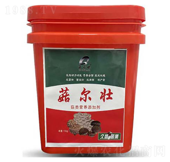 ���(l��i)�I(y��ng)�B(y��ng)���ӄ�-��ʢ��������-���_(d��)����