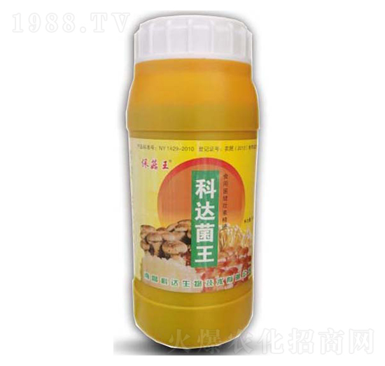 ������������-���_����