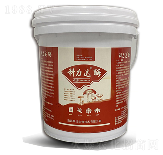 �����_��ø-���_����