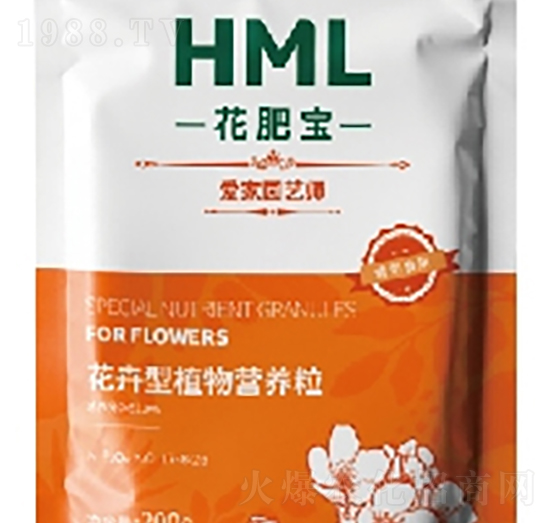 ������ֲ��I(y��ng)�B(y��ng)��-���ʌ�-�S���X