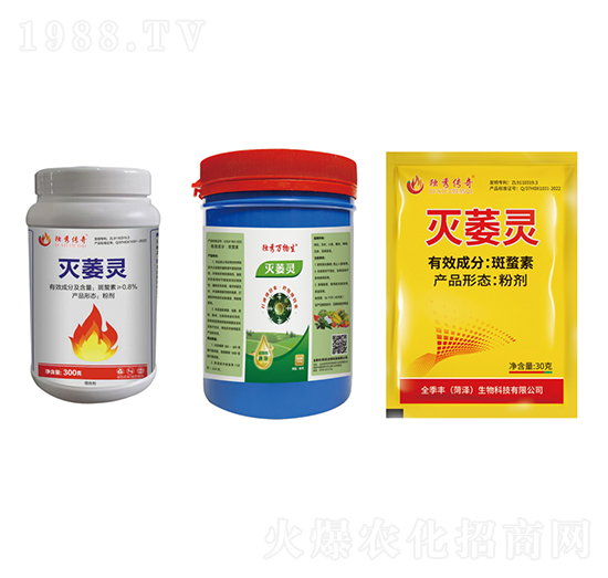 ��ή�`-ȫ���S