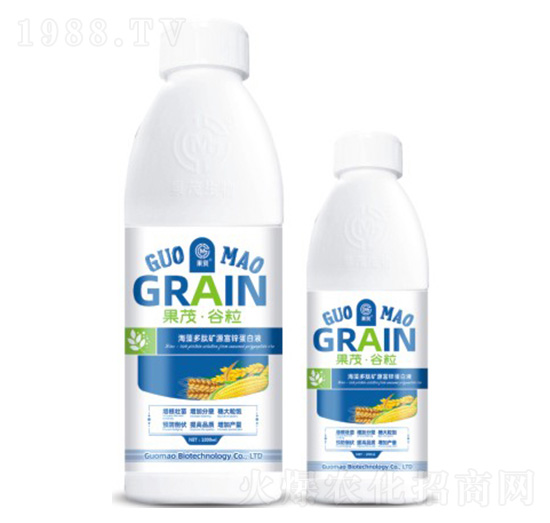 ��ï������-��ï����