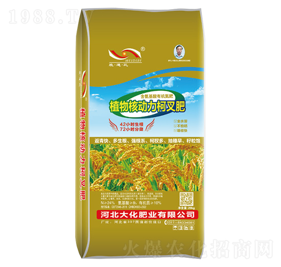 ����ֲ��˄����²��-�󻯷ʘI(y��)