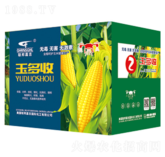 ���׌��ø߮a����-�����2-��μ�