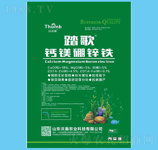 ̤�衤�}�V���\�F-������-����r�I(y��)