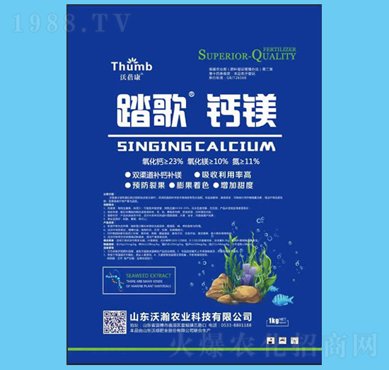 ̤�衤�}�V-������-����r(n��ng)�I(y��)