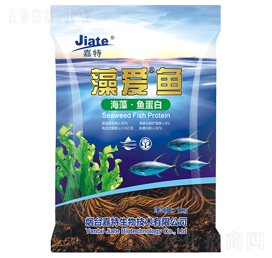 ���(��i)���~(y��)-��������